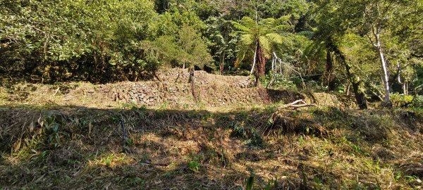 2026/02/21-馬胎古道（含二期）3005124