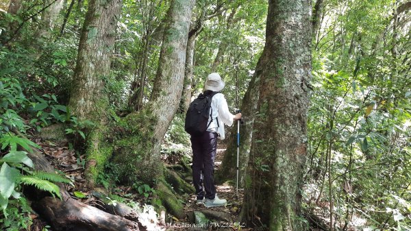 《新竹》遺世古堡｜尖石李崠山登山步道202507182841011