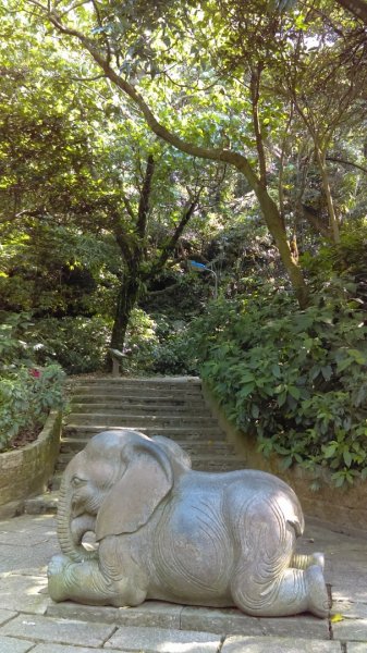 【臺北大縱走 6】象山拇指山南港山九五峰918392