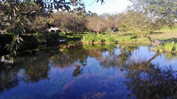 2018 12/2 拉索埃湧泉879494