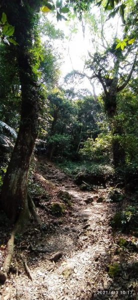 馬那邦山登山步道、雪霸國家公園1332531