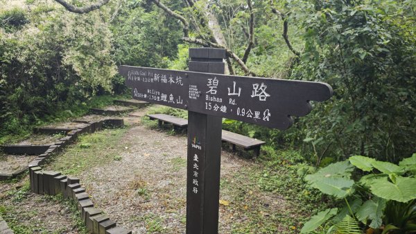 2025-0512內湖到中社2784805