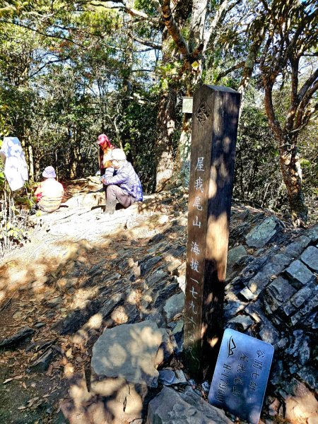 屋我尾山-谷關七雄 老三2962549