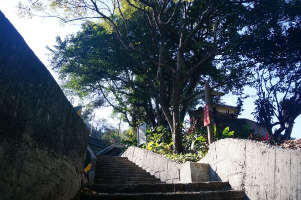 烘爐地登山步道(南勢角山)1968401