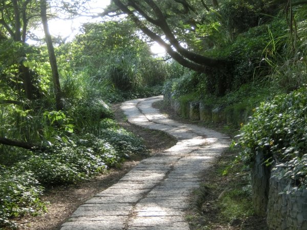 鳳崎落日步道．蓮花寺步道452674