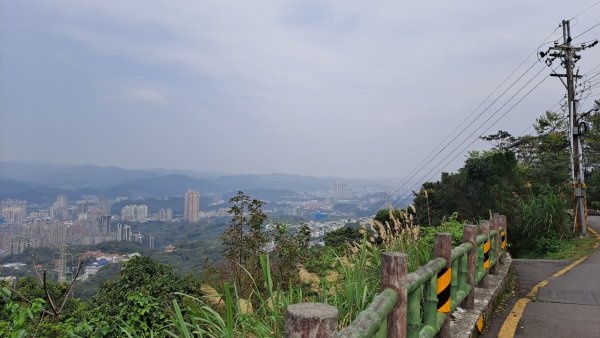 20240308汐止大尖山步道-四分尾山-耳空龜山2448614