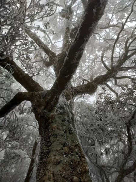雪季北得拉曼2956410