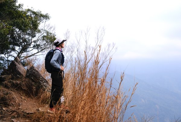 觀望山(德文山)2736162