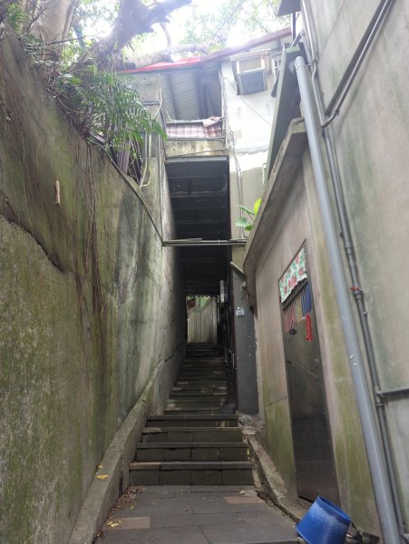 2025.12.14－微笑山線：【二格山系】和美山螢火蟲段2966252