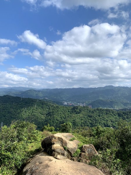 201001-四獸山縱走（虎山、豹山、獅山、象山）1372862