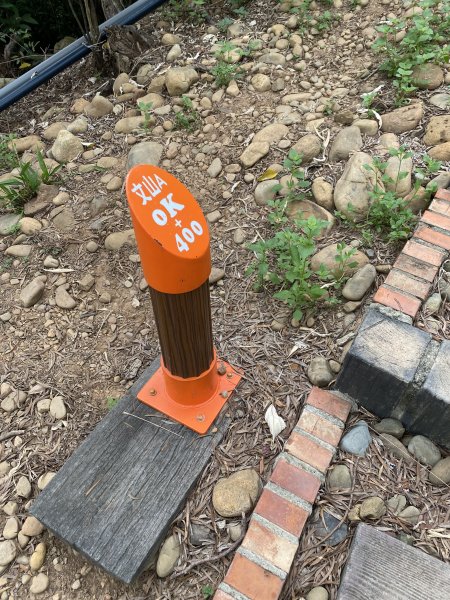 20250706-EP.06犁頭山、文山步道-2025森遊竹縣皮皮獅探險隊2851719