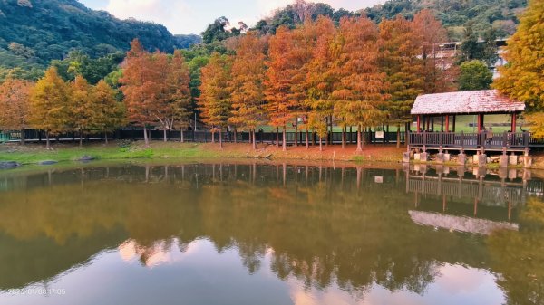 #花卉試驗中心 #永公路500巷 #平菁街42巷 #原住民公園 #士林官邸 1/42979256
