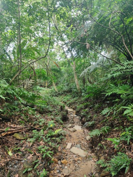 微笑山線之烘爐地土地公段2849199