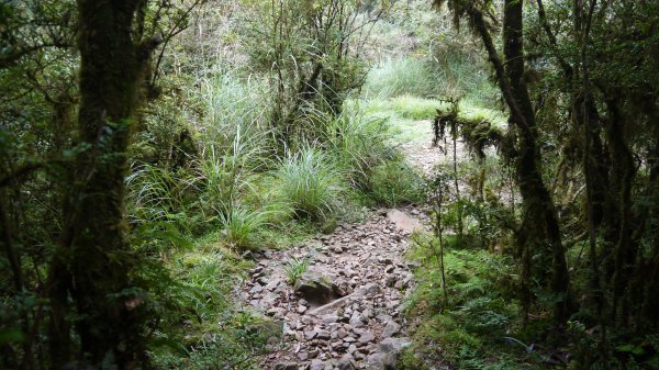 松蘿湖單攻登山健行趣（步道）1522297