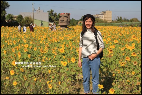 2019桃園花彩節。花現平鎮.幸福農來762391