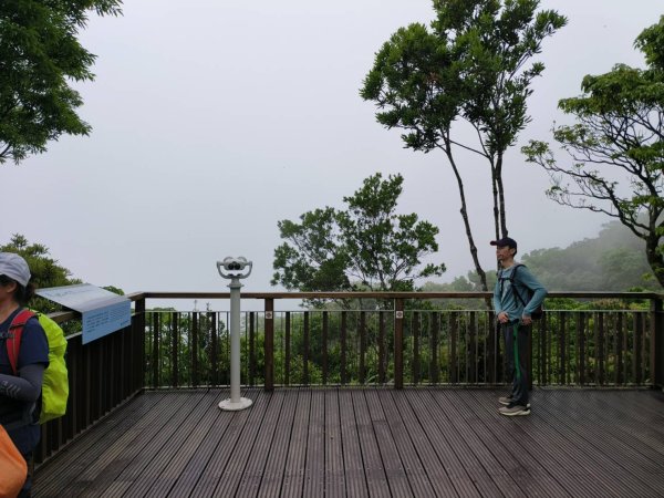 桃園市-東眼山3053954
