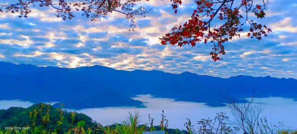 二訪馬拉邦山，解鎖 #琉璃光雲海 #日出雲海  #血月 #斜射光 #楓葉紅了！2668648