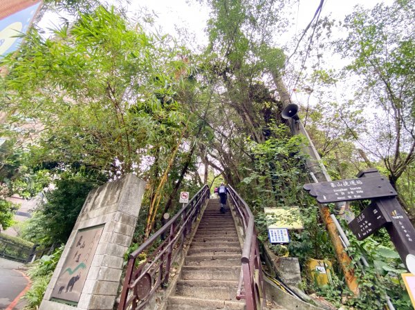 象山親山步道&雨中的鼻頭角步道    2021/4/101344401