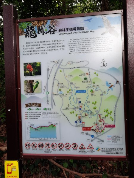 《彰化》桃源里森林步道、龍鳳谷森林步道1047511