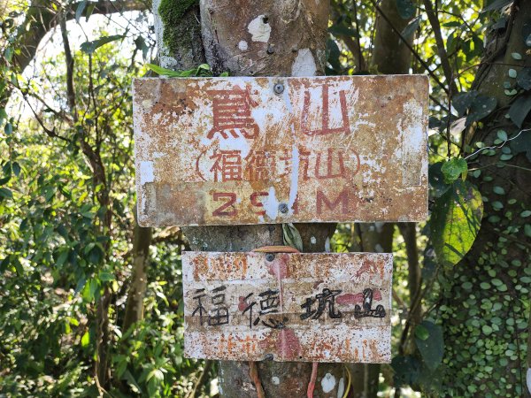 小百岳No.19⛰福德坑山(鳶山)2739705