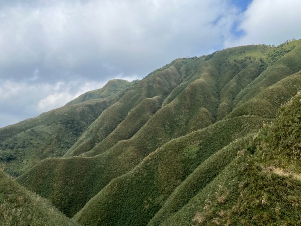 聖母登山步道～抹茶山 🙋新手上山1718843