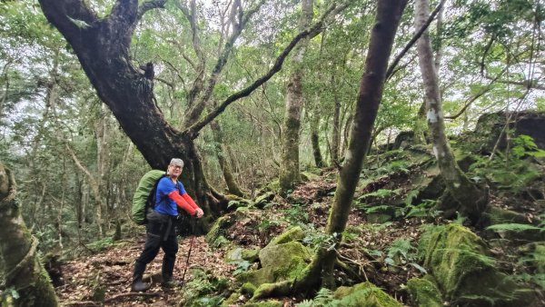 大混李棟重訓2883617