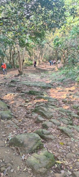 福源山步道2730317