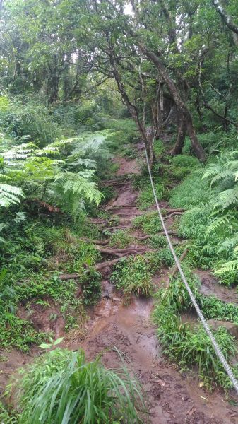 面天山後, 進攻大屯山系列的第一站174686