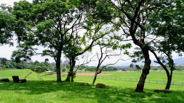 山佳荷花池2172762