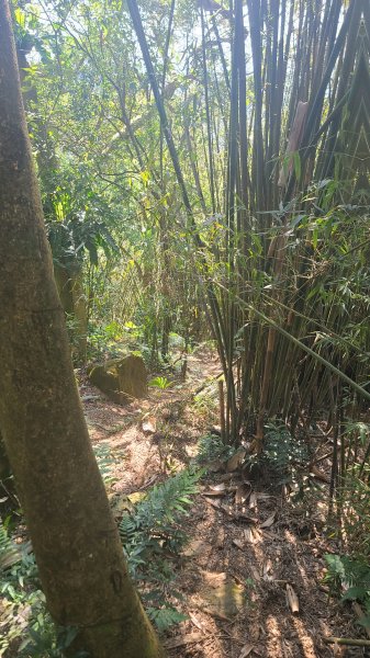 2025-0130溪和宮-大崎頭步道-鵝尾山-平溪步道-鵝尾山水田-42巷-溪山百年古圳-平菁步道2701872