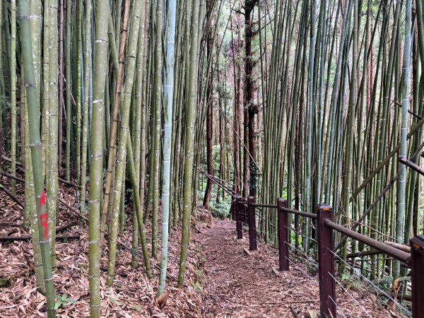 白蘭溪古道2846937