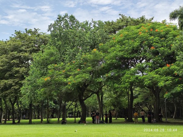 大安森林公園、港墘公園、大港墘公園【走路趣尋寶】【臺北健走趣】2582378