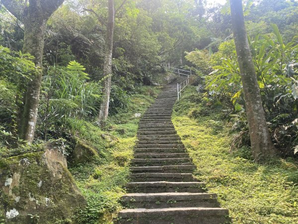 《城市與山的交界線｜大尖山連走四分尾山》O繞路線＋秀峰瀑布＋遇見養蜂人🐝3056644
