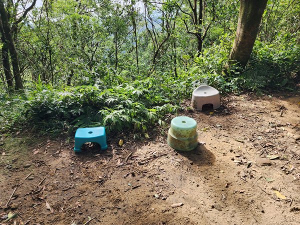 小百岳No.17⛰二格山2895565