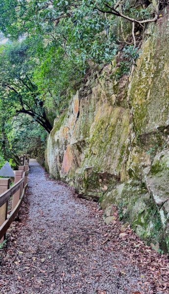 天母水管路走陽明山尖山2881356