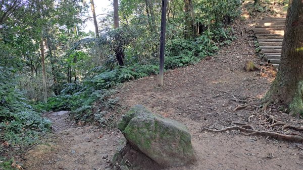 二格山登山步道草湳線2574073