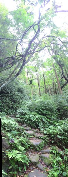 第三登山口-鞍部-二格山，南邦寮390582