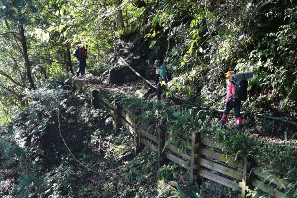 八仙山林場。清水臺2525941