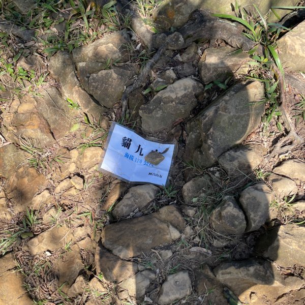 20241130 臺北大縱走第五段：捷運劍潭站至碧山巖（小百岳-劍潭山）2969070