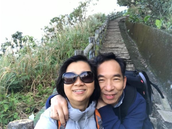 無耳茶壺山447869