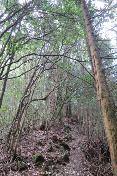 《台中》谷關七雄｜初登屋我尾山201703192890432