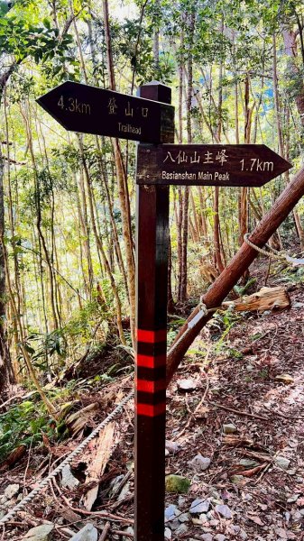 🌈11/15（六）松鶴上八仙山下森林遊樂區✨FB：熊熊趴爬走🌈2937667