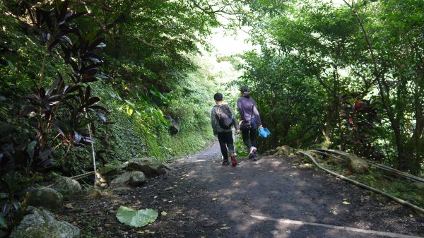 三訪跑馬古道登山健行趣（淡蘭南路TK3-10）1517777