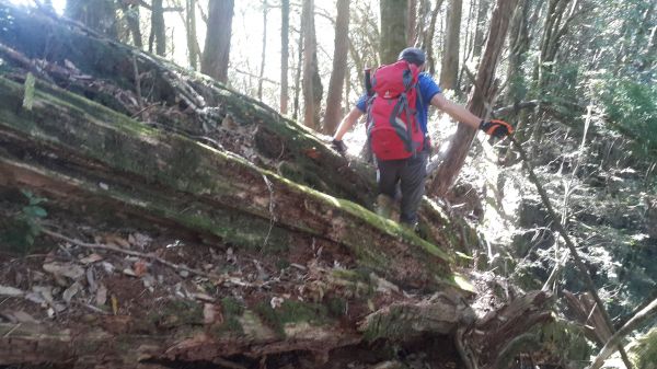 八唐縱走 2016 12 10138603