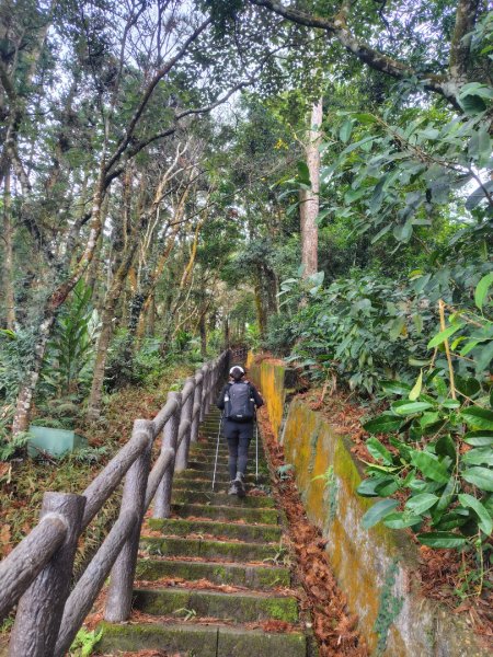 鳳鳴古道 鳳鳴山 南隘勇（南長城）古道 三湖山 八達嶺（龍骨）古道 綠色古道 延平古道2975281