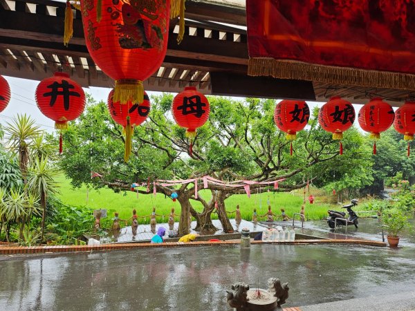 霄裡悠哉行