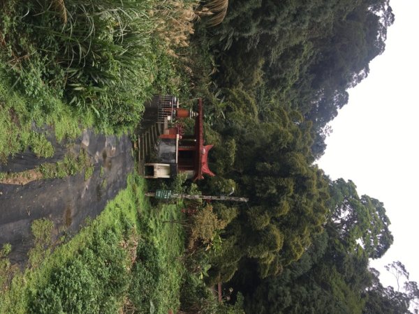 38溪洲山2729744