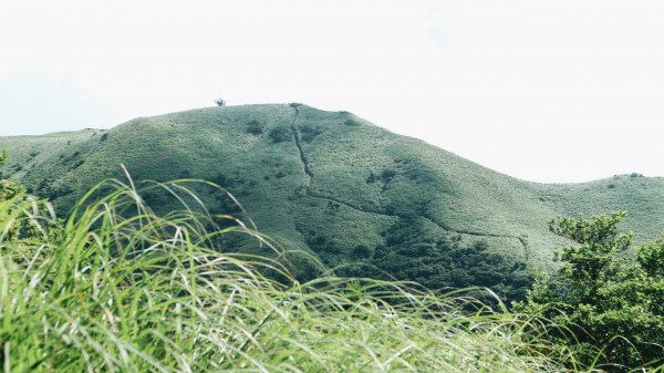 大屯山O型|一起來走陽明山縱走西段1005029