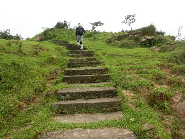 桃源谷．灣坑頭山步道140941
