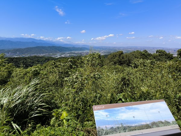 20250815微笑山線大棟山系百年大榕樹段2859906